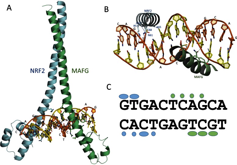 Figure 3.