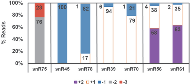 Figure 5.