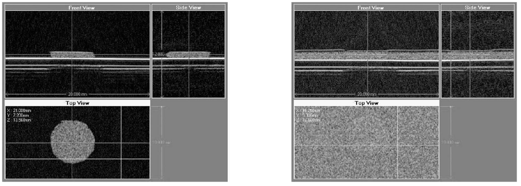 Fig. 10