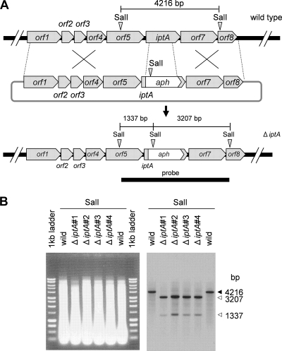 FIG. 8.