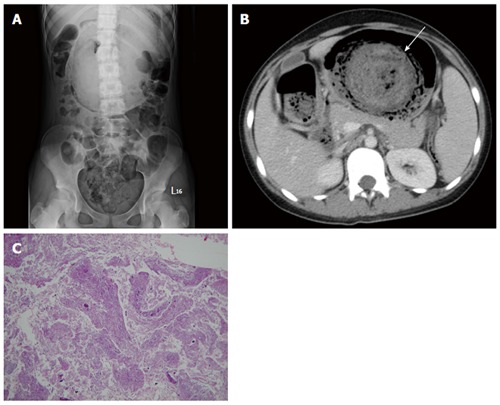 Figure 10