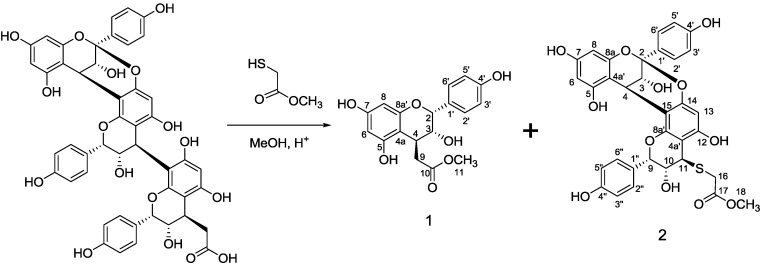 Scheme 1