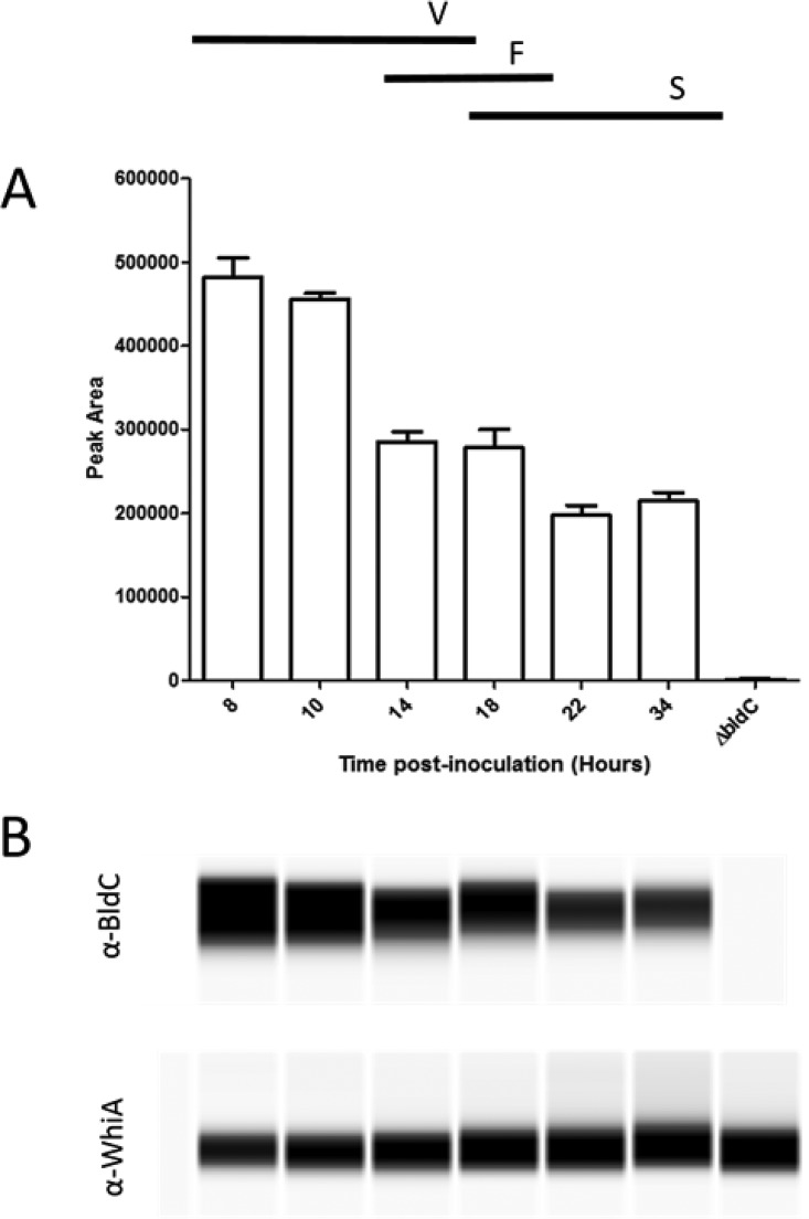 FIG 4