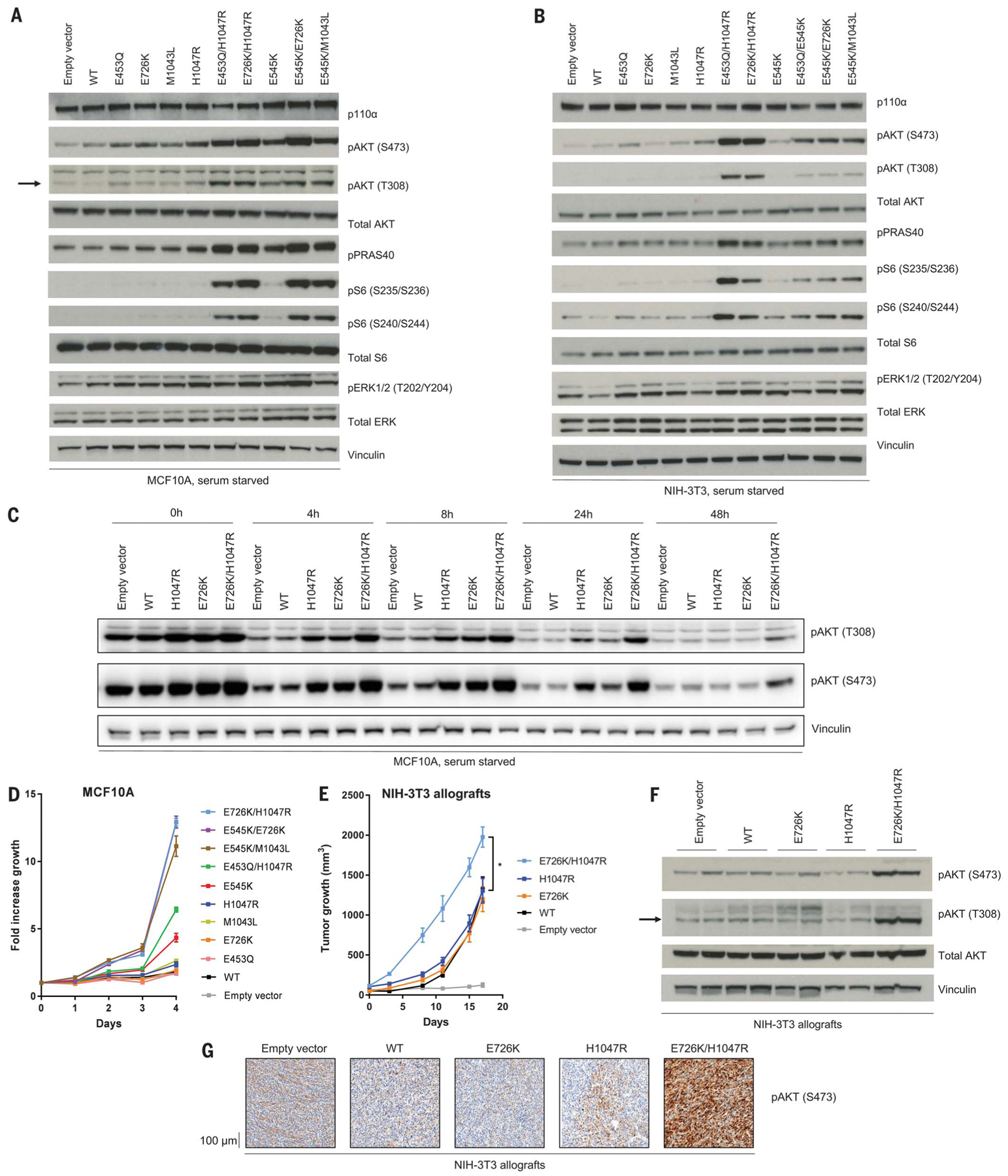 Double PIK3CA mutations in cis increase oncogenicity and sensitivity to ...