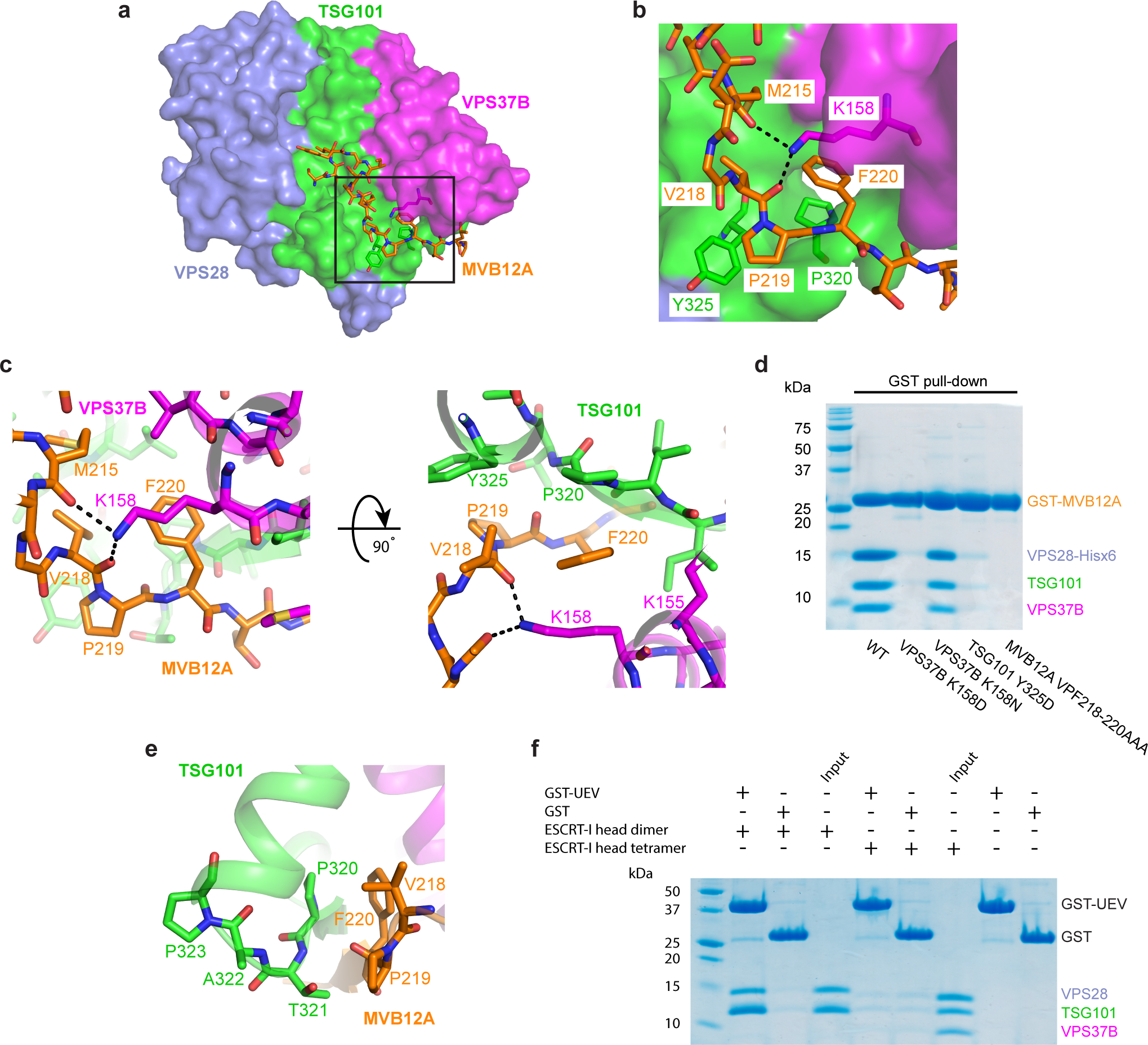 Fig. 2: