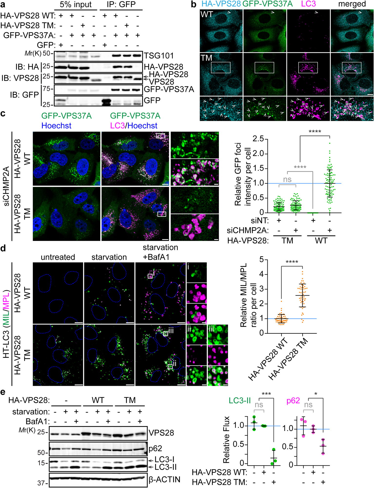 Fig. 4: