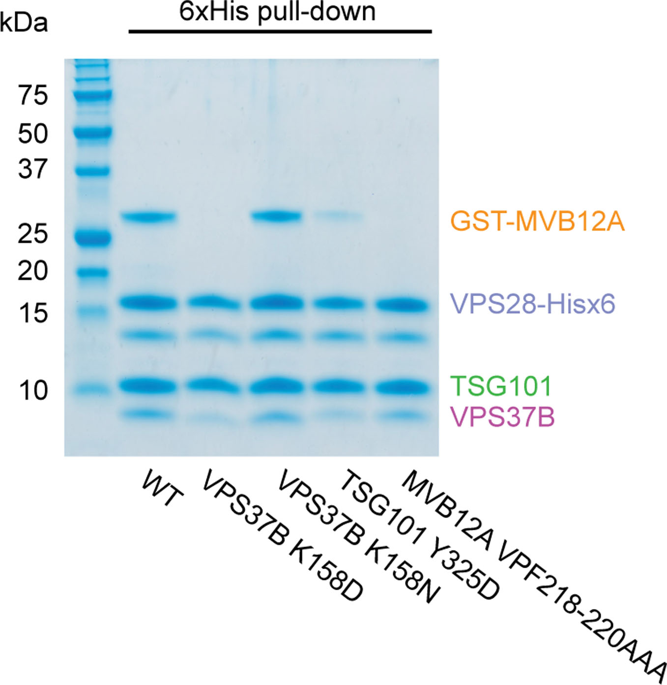 Extended Data Fig. 1