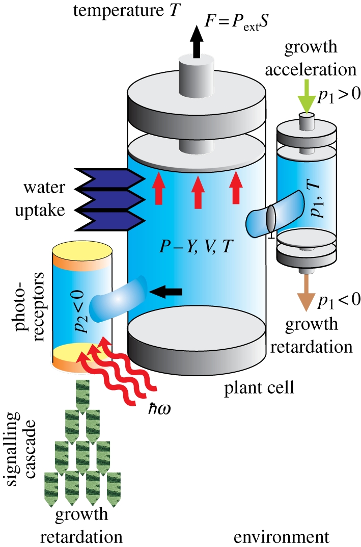 Figure 3.