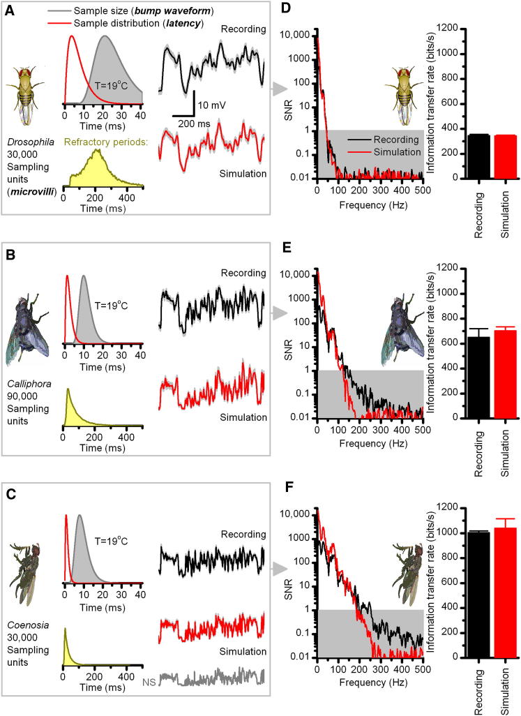 Figure 6