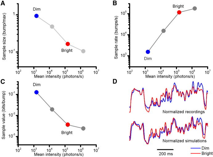 Figure 7