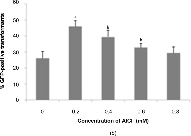 Figure 4: