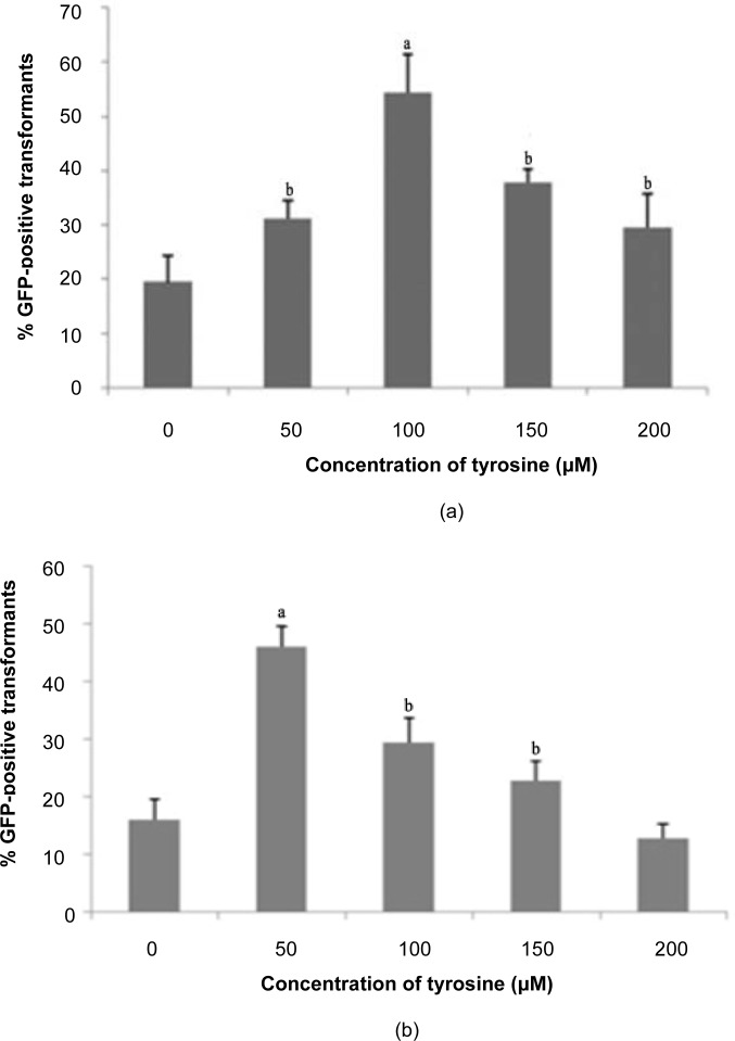 Figure 3: