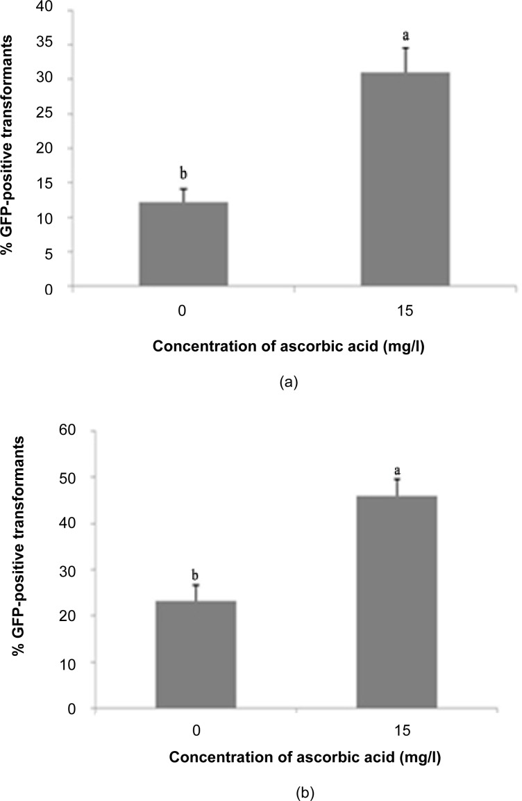 Figure 5: