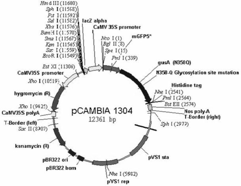 Figure 1: