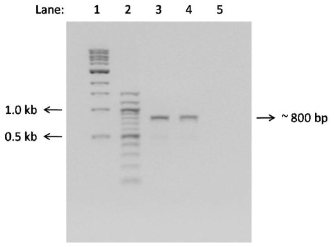 Figure 6: