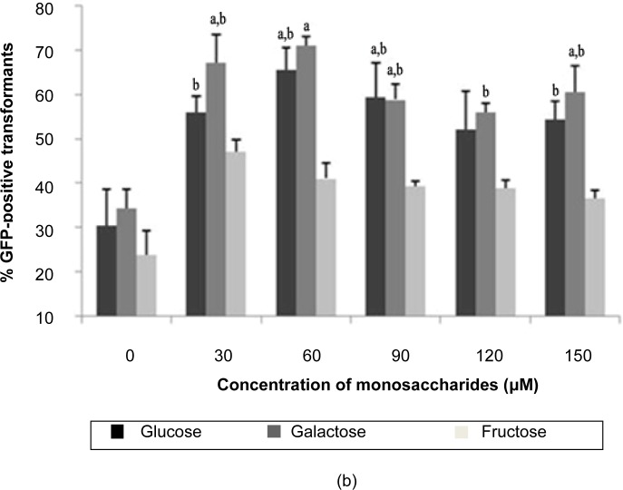 Figure 2: