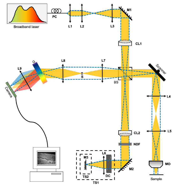 Fig. 1.