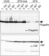 Fig 5