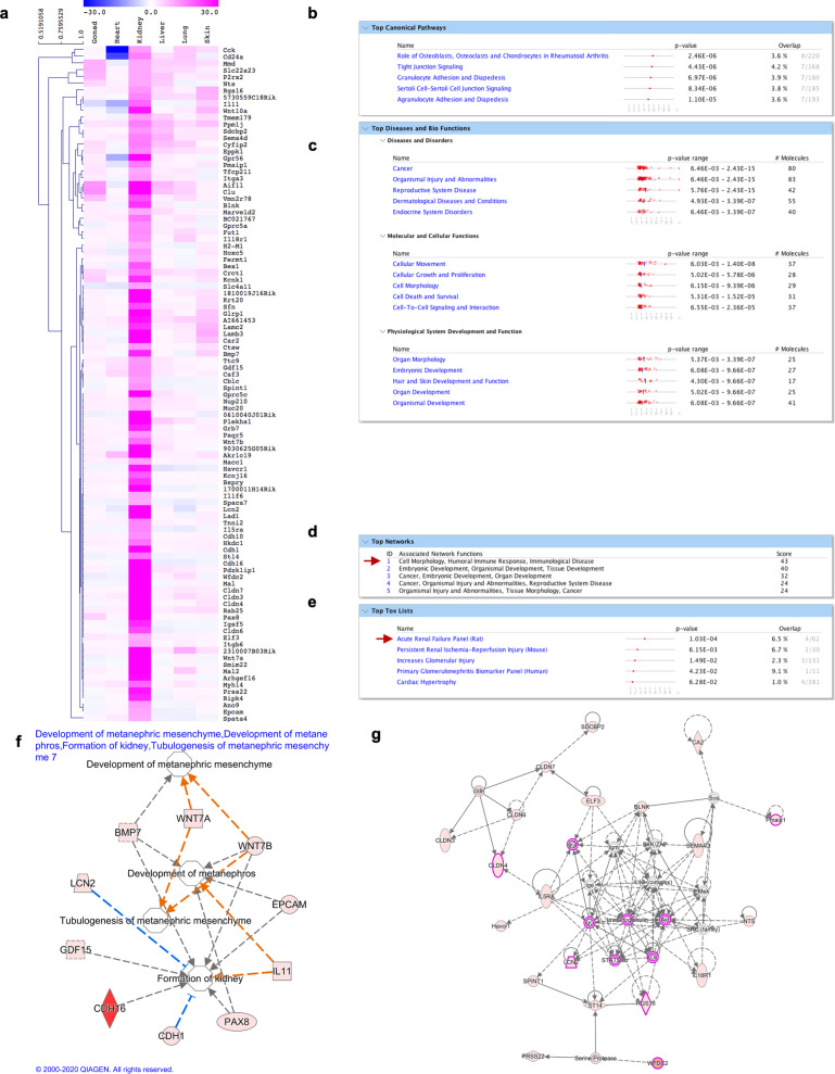 Figure 2—figure supplement 5.