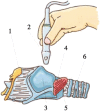 Figure 1: