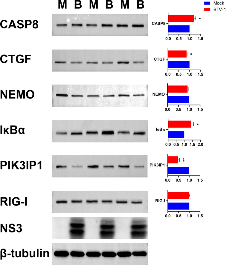 Figure 11