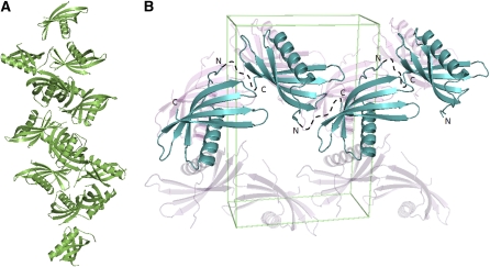 Figure 11.