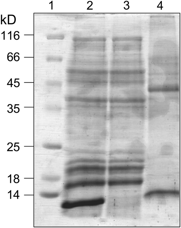 Figure 9.