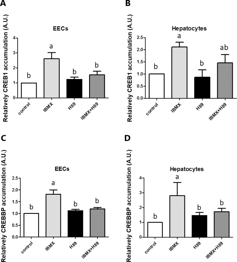 Fig 4