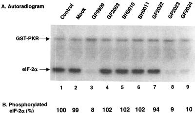 FIG. 6