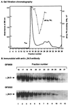 FIG. 8