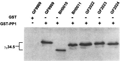 FIG. 7