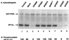 FIG. 6