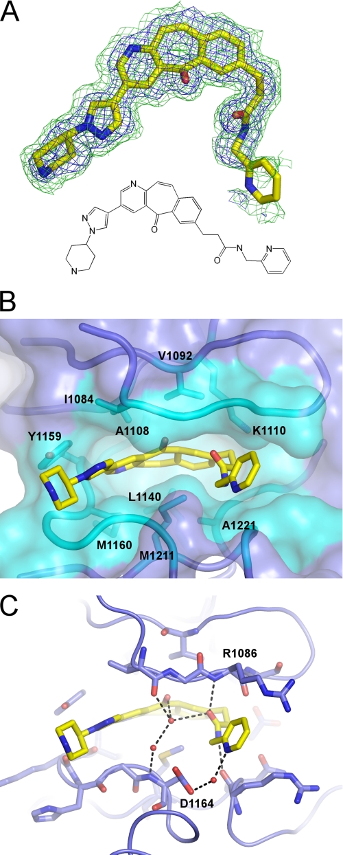 FIGURE 4.