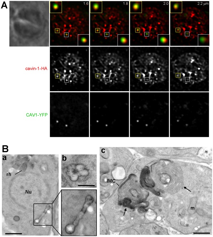 Figure 10