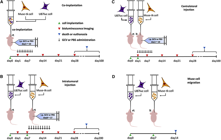 Figure 2