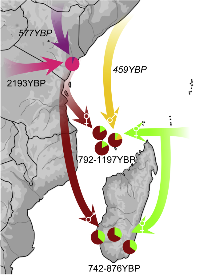 Figure 3