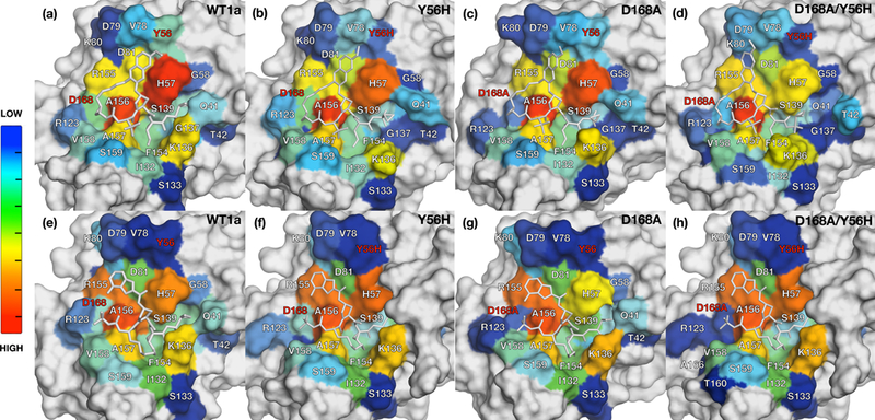 Figure 5: