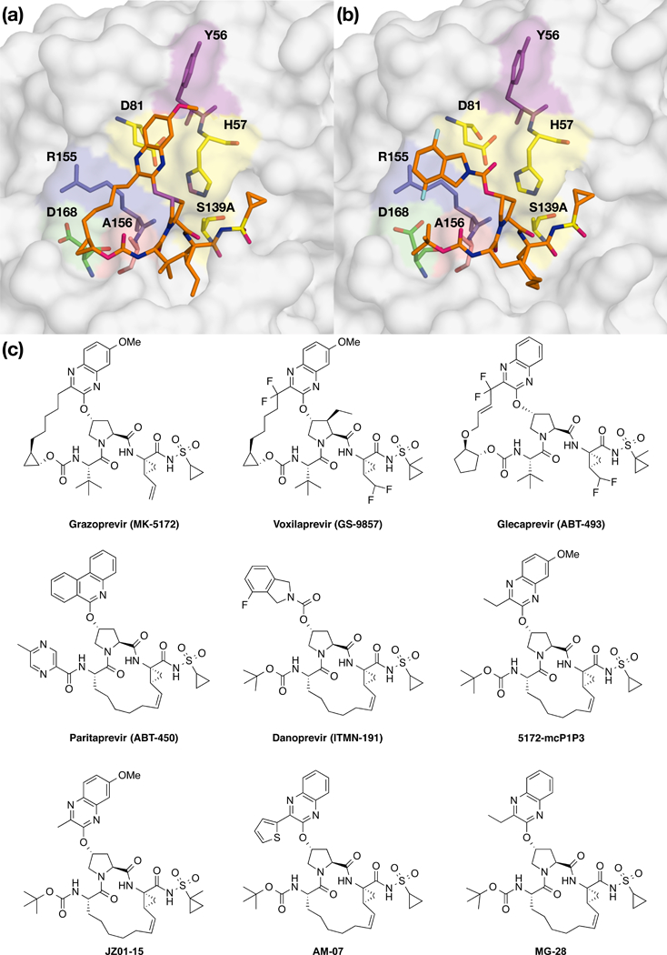 Figure 1: