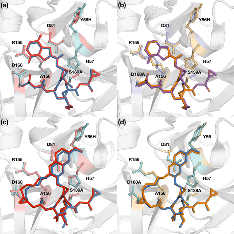 Figure 4: