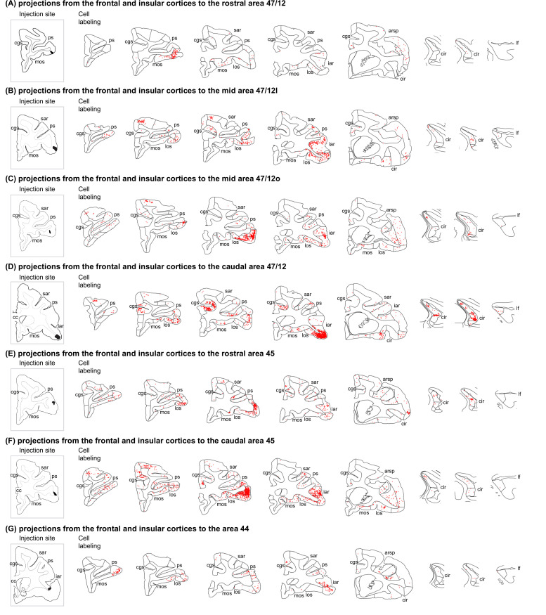 Figure 2—figure supplement 2.