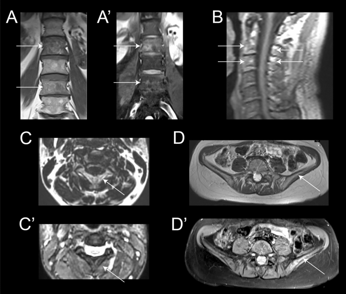 Fig. 8