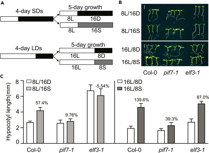 Figure 6