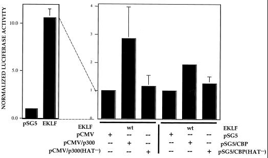 FIG. 7