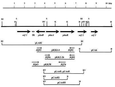 FIG. 1