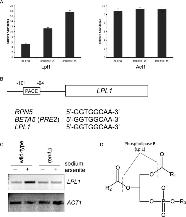 FIGURE 1: