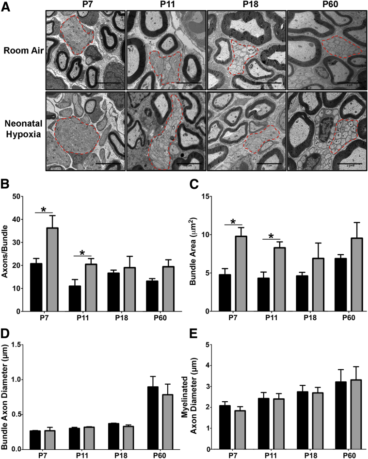 Figure 3