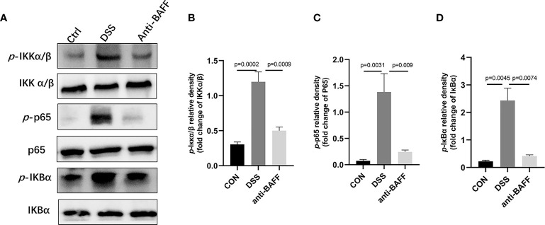 Figure 5