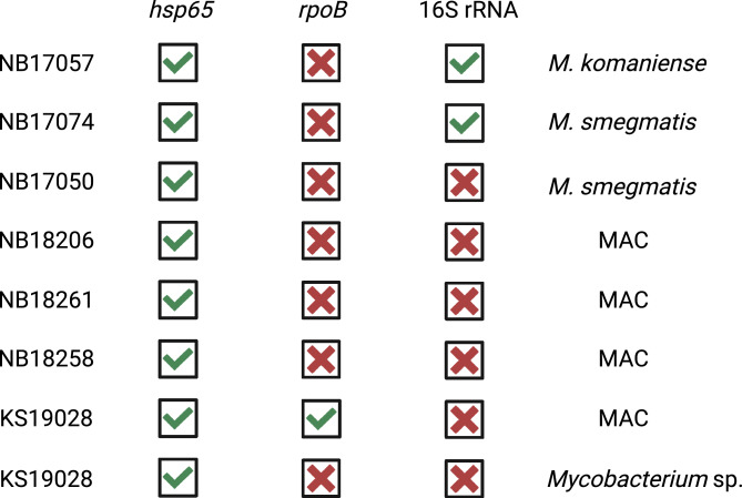 Figure 5