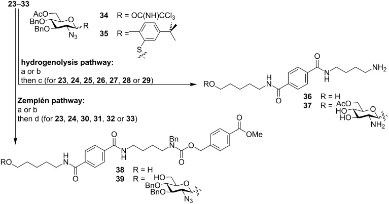 Scheme 5