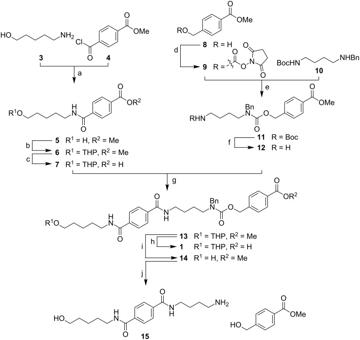 Scheme 3